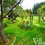 Villa V